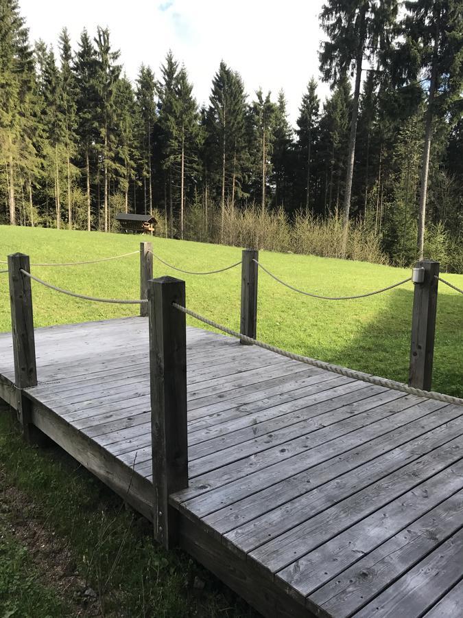Chalet6Harrachov Se Saunou Ngoại thất bức ảnh