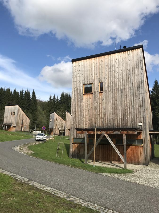 Chalet6Harrachov Se Saunou Ngoại thất bức ảnh